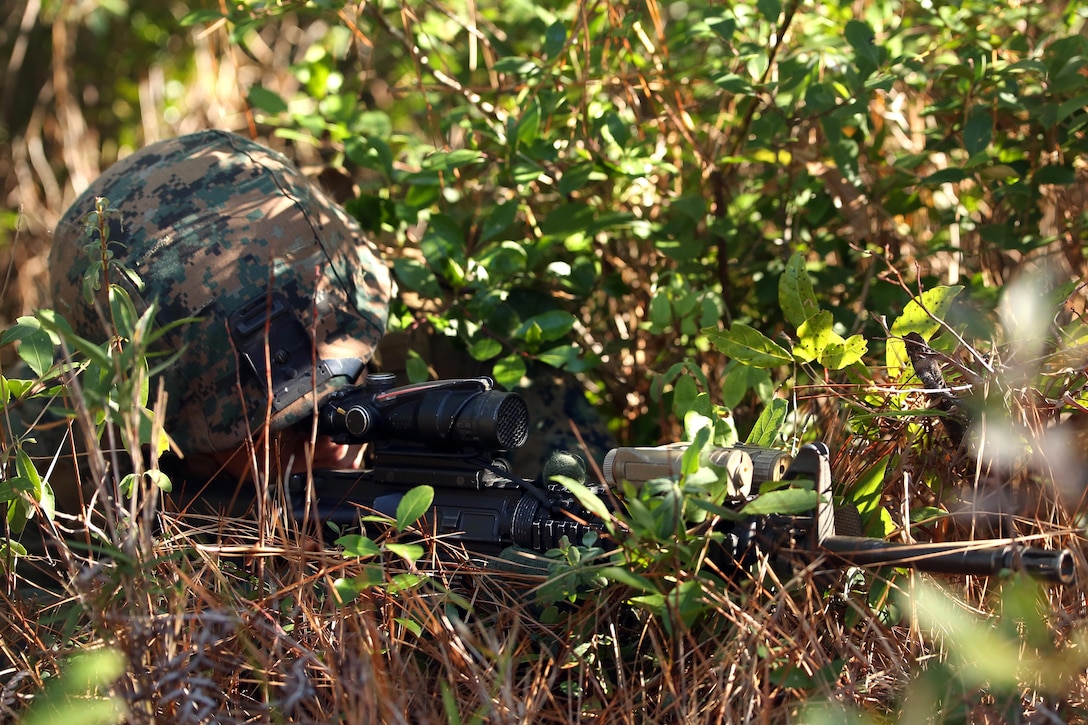 A Marine conceals himself after contact with the enemy during a patrolling exercise on Camp Lejeune, N.C., Dec 15, 2015. U.S. Marine Corps photo by Lance Cpl. Brianna Gaudi