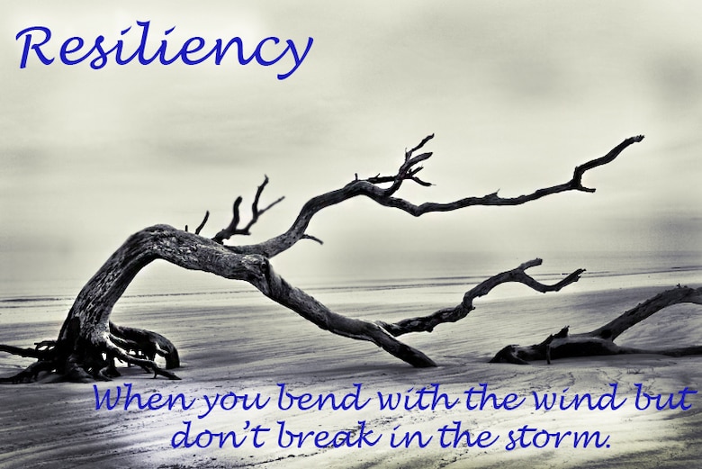 Resiliency: Not just a day, but every day > Osan Air Base > Display