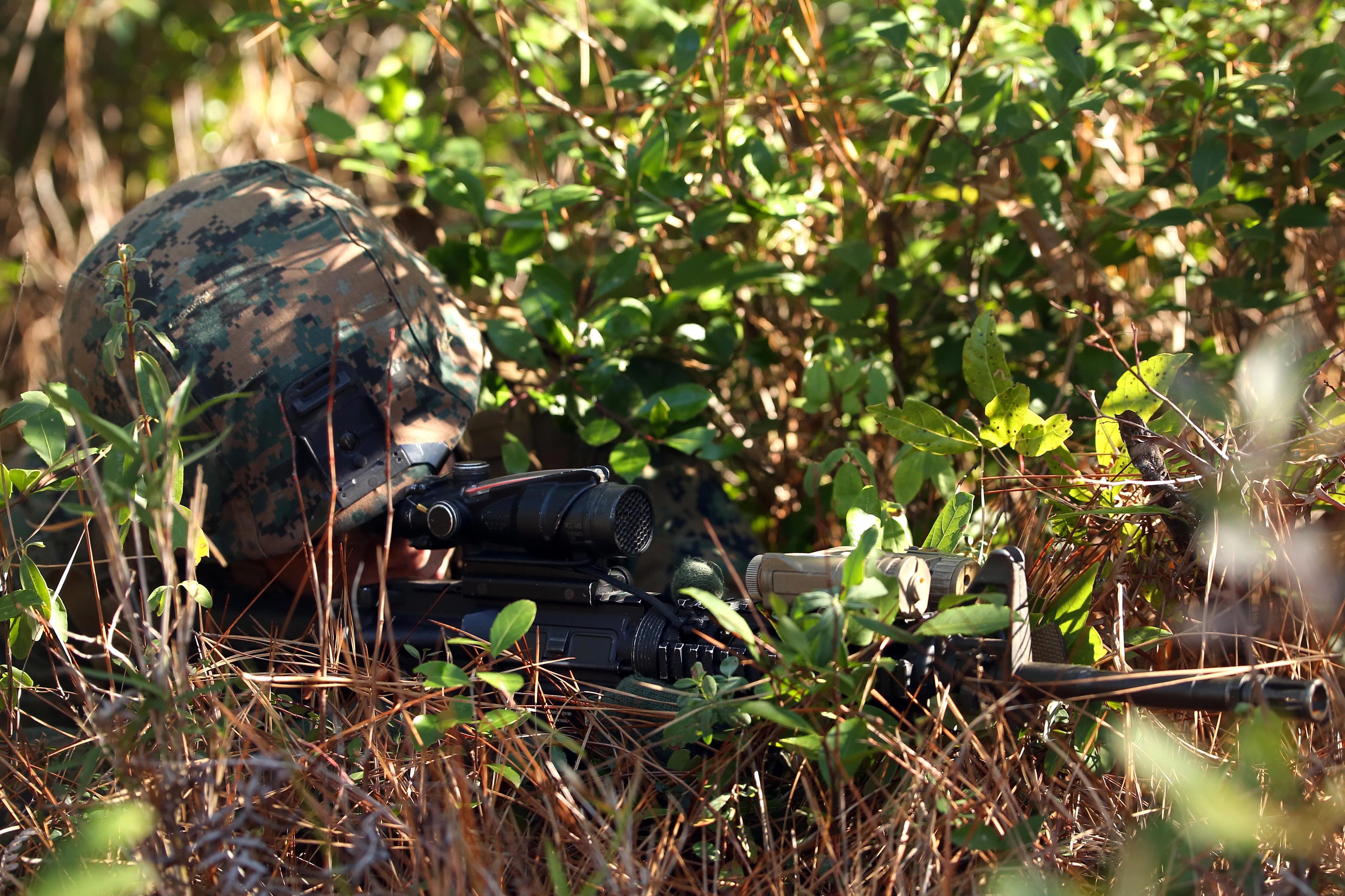 Cover and Concealment