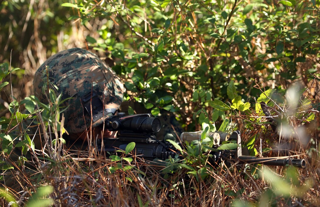 A Marine with 2nd Light Armored Reconnaissance Battalion, conceals himself after contact with the enemy during a patrolling exercise at Camp Lejeune, N.C., Dec 15, 2015. The unit practiced patrolling techniques and set up patrol bases to maintain readiness. (U.S. Marine Corps photo by Lance Cpl. Brianna Gaudi/Released)