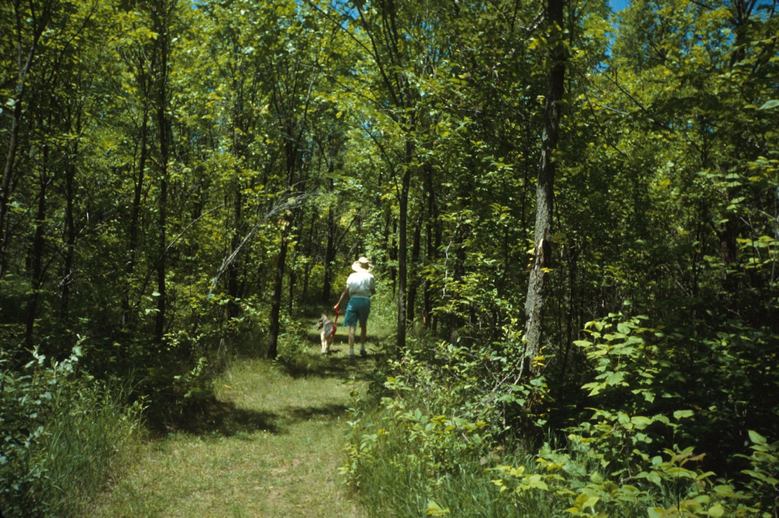 Walker on trail  