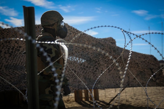 Marines and Sailors with 1st MLG successfully completed Steel Knight 16 this week, making their way home from Marine Corps Air Ground Combat Center Twentynine Palms.
Here are some of the top shots from the exercise. Like your favorite and the photo with the most "votes" on Monday will win.
