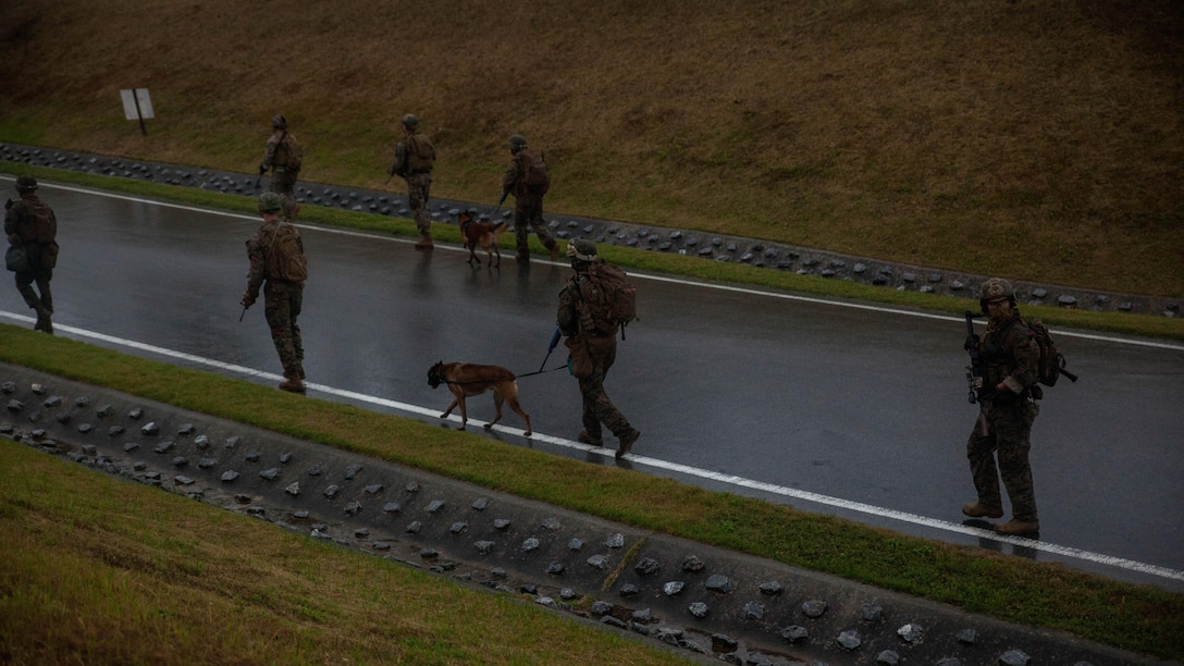 Marines with Maritime Raid Force, 31st Marine Expeditionary Unit, leave from their objective after a raid Dec. 10, 2015 on Camp Hansen, Okinawa, Japan. The raid was part of the Interoperability Exercise 16-1. INTEROP is the first opportunity the Force Reconnaissance Platoon, Amphibious Reconnaissance Platoon, and the rifle platoon from the MEU's Battalion Landing Team have to combine as the MRF with the 31st MEU. 