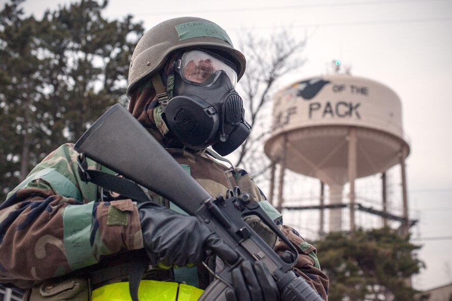 Wolf Pack Year In Review