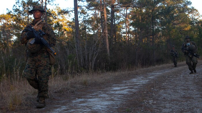 Marines with 3rd Battalion, 8th Marine Regiment patrol alongside a road during an exercise aboard Camp Lejeune, N.C., Jan. 22. The Marines conducted reconnaissance and security patrols to enhance their combat skills and readiness for future deployments. 