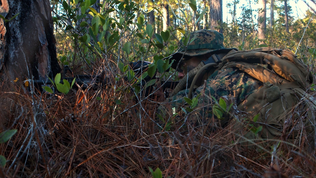 A Marine with 3rd Battalion, 8th Marine Regiment provides security after a patrol halt during an exercise aboard Camp Lejeune, N.C., Jan. 22. The Marines conducted reconnaissance and security patrols to enhance their combat skills and readiness for future deployments. 