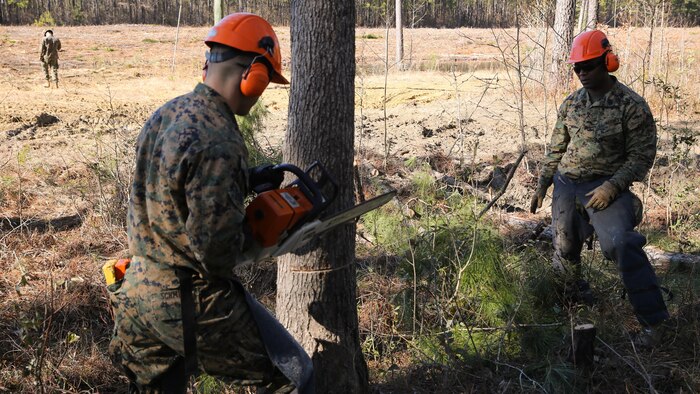 Master Sgt. Richard Thomas, operations chief with Engineer Company, Marine Wing Support Squadron 274, instructs one of his Marines on the proper procedures for felling a tree with a chainsaw, Jan. 28, 2015. The MWSS-274 engineers were clearing and preparing an undeveloped piece of land aboard Marine Corps Air Station New River for a forward arming and refueling point to be utilized as a future training area.
