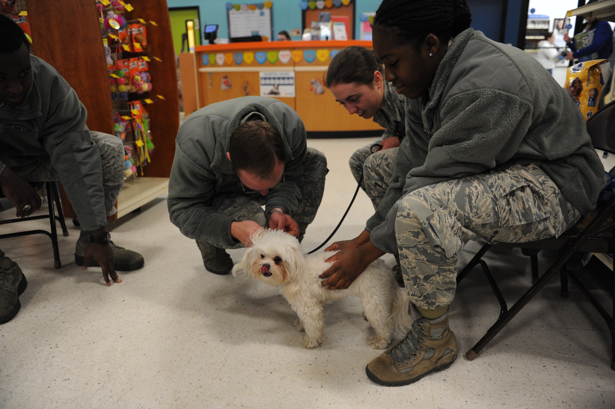 Academy cadets volunteer at the Dreampower Animal Rescue adoption fair at a Pet Smart in Colorado Springs, Colo., Jan. 31, 2015. The adoption fair aimed to place animals in need of homes with families. (U.S. Air Force photo/John Van Winkle)