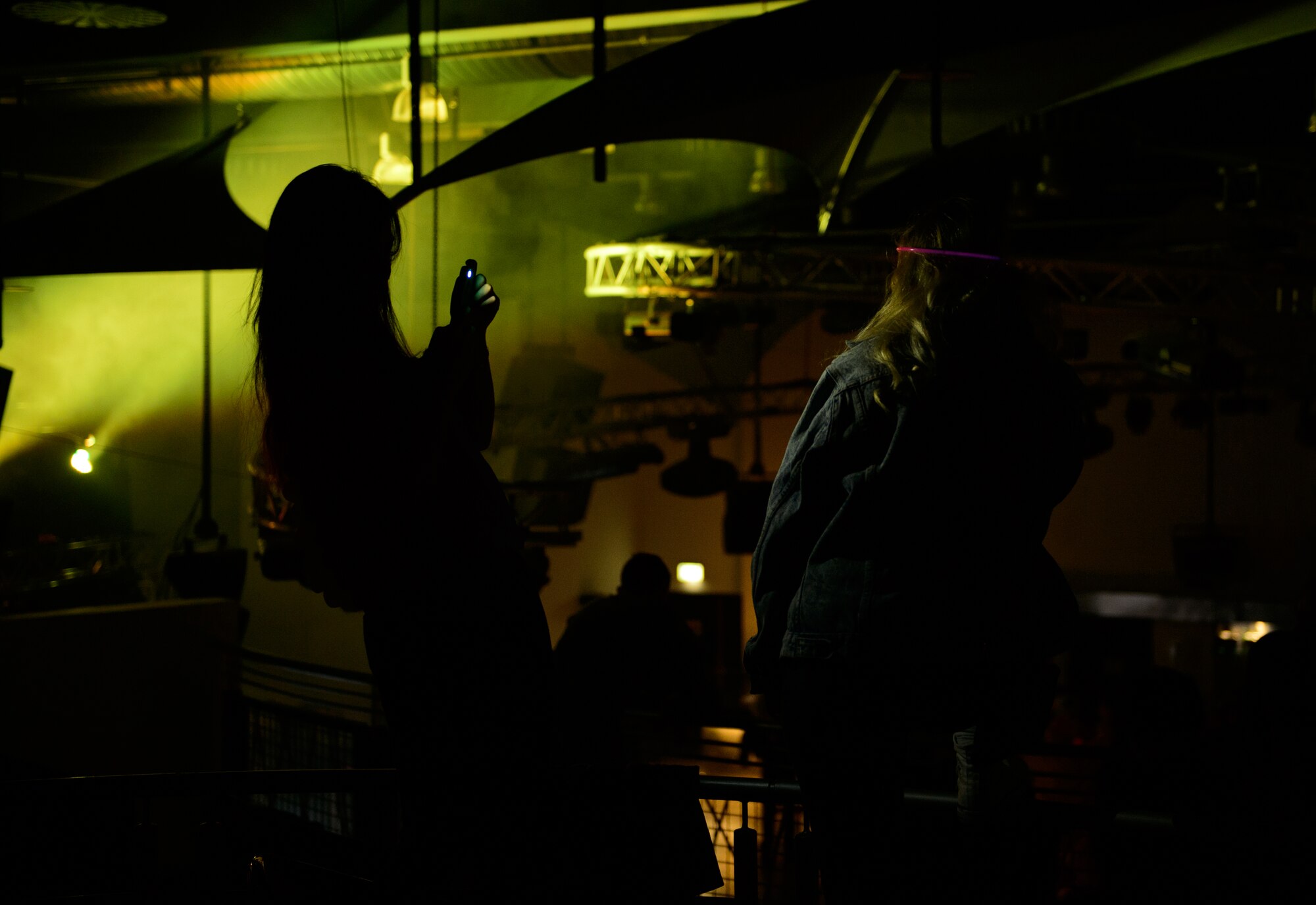 Two members of the Kaiserslautern Military Community take photos during a performance by disc jockey Ana Sia at Ramstein Air Base, Germany, Jan. 31, 2015. Ana Sia and three other DJs performed for the troops during a USO tour here. (U.S. Air Force photo/Senior Airman Armando A. Schwier-Morales)