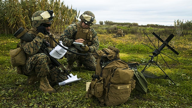International forces simulate raids during Bold Alligator 2014