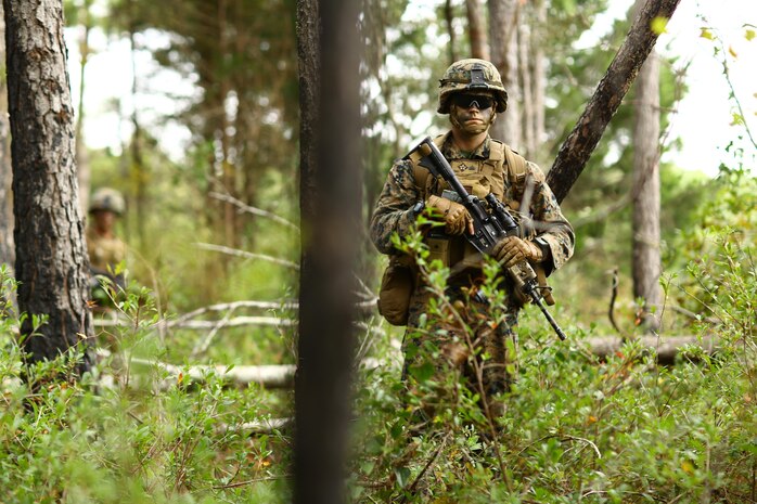 U.S. Marines assigned to 2nd Battalion, 6th Marine Regiment patrols during a tactical recovery of aircraft and personnel mission part of Exercise Bold Alligator on Atlantic Airfield, N.C., Nov. 6, 2014. Exercise Bold Alligator is a multinational, synthetic naval amphibious exercise designed to train across the full range of amphibious capabilities in order to provide unique and contemporary solutions to global challenges.