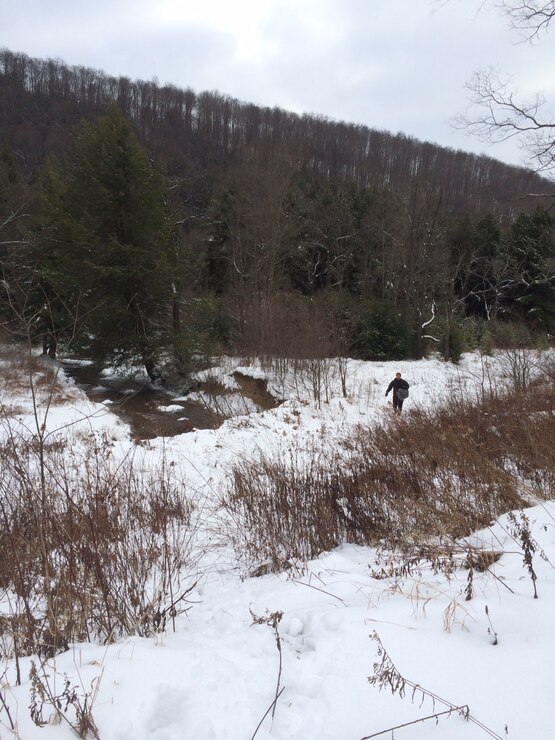 Biologist Carl Nim returns from deploying a data logger on a tributary to East Branch Lake.