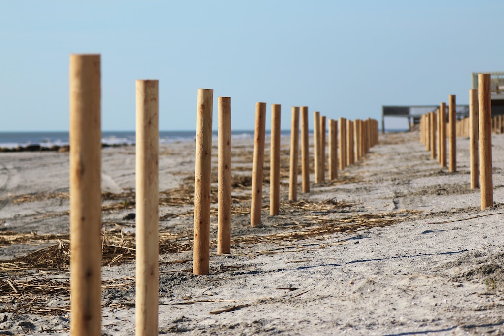 The Charleston District has begun the fencing and grassing project at Folly Beach to build dunes behind the recently completed renourishment project.