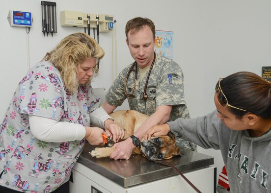 From left to right: Lisa Lage, veterinary technician, assists U.S. Army Capt. Kevin McKenna with Kekoa’s routine nail trim. The boxer's owner, Jeanette Lovell, stood by to comfort Kekoa during his pedicure. Edwards AFB's Veterinary Treatment Facility will offer limited services beginning in May until a new Army veterinarian arrives in August. (U.S. Air Force photo by Rebecca Amber)
