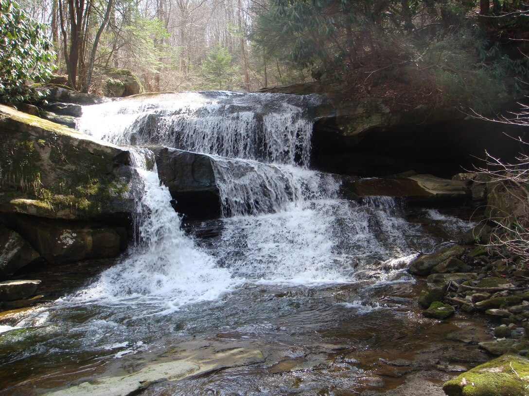 Unnamed tributary to Allegheny Reservoir