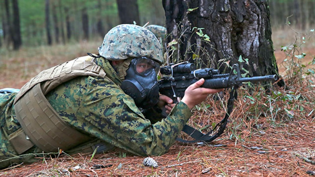A Marine with 2nd Assault Amphibious Battalion scans for enemy troops after a simulated attack during a week-long field exercise aboard Camp Lejeune, N.C., Jan. 24, 2015. Maintaining amphibious units is vital to the naval expeditionary nature of the Marine Corps, and maintaining the readiness and standards of every Marine ensures high performance and fast deployment capabilities.