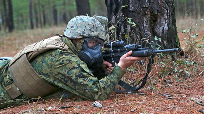 A Marine with 2nd Assault Amphibious Battalion scans for enemy troops after a simulated attack during a week-long field exercise aboard Camp Lejeune, N.C., Jan. 24, 2015. Maintaining amphibious units is vital to the naval expeditionary nature of the Marine Corps, and maintaining the readiness and standards of every Marine ensures high performance and fast deployment capabilities.