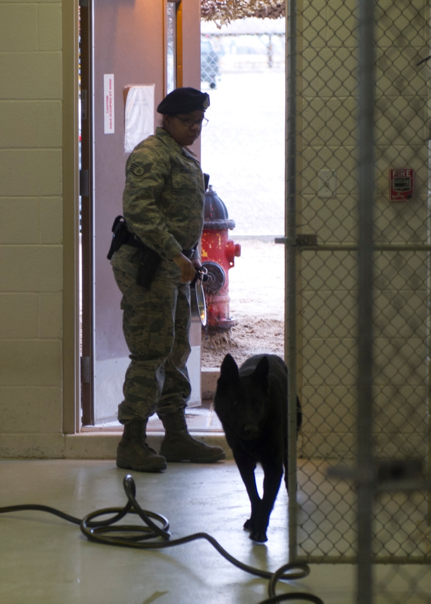 Staff Sgt. Krystle Draper, 49th Security Forces Military Working Dog handler, let the MWDs out to use the fire hydrant after finishing their meals at Holloman Air Force Base, N.M., Jan. 22. The bond between MWDs and their handlers is often as strong as family. They spend nearly every day together working and training to stay in sync to function as partners during military operations. (U.S. Air Force photo by Airman 1st Class Chase Cannon/Released)