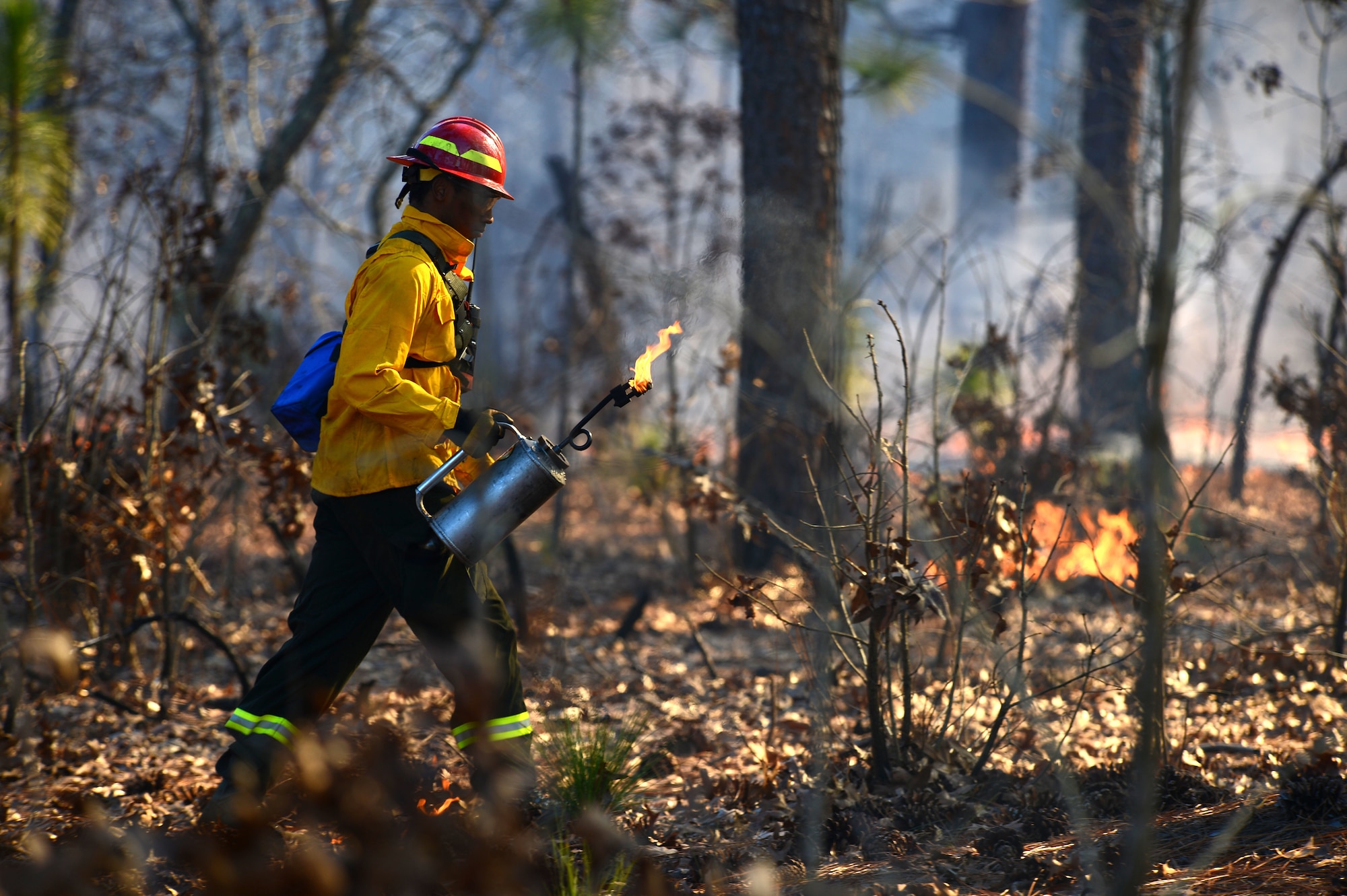 A U.S. Fish and Wildlife Service fire module detail member uses a kerosene drip torch during a prescribed burn at the Poinsett Electronic Combat Range, Sumter, S.C., Jan. 28, 2015.  During the burn, workers walked through the wooded areas to ensure that all brush catches on fire. (U.S. Air Force photo by Senior Airman Jensen Stidham/Released)
