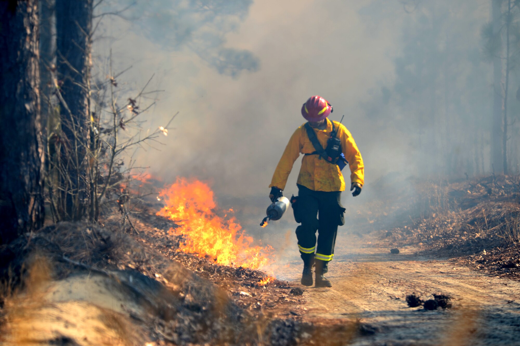 A U.S. Fish and Wildlife Service fire module detail member uses a kerosene drip torch during a prescribed burn at the Poinsett Electronic Combat Range, Sumter, S.C., Jan. 28, 2015.  During the burn, several workers lit approximately 150 acres of dry brush to ensure that no future un-controlled fires occur. (U.S. Air Force photo by Senior Airman Jensen Stidham/Released)