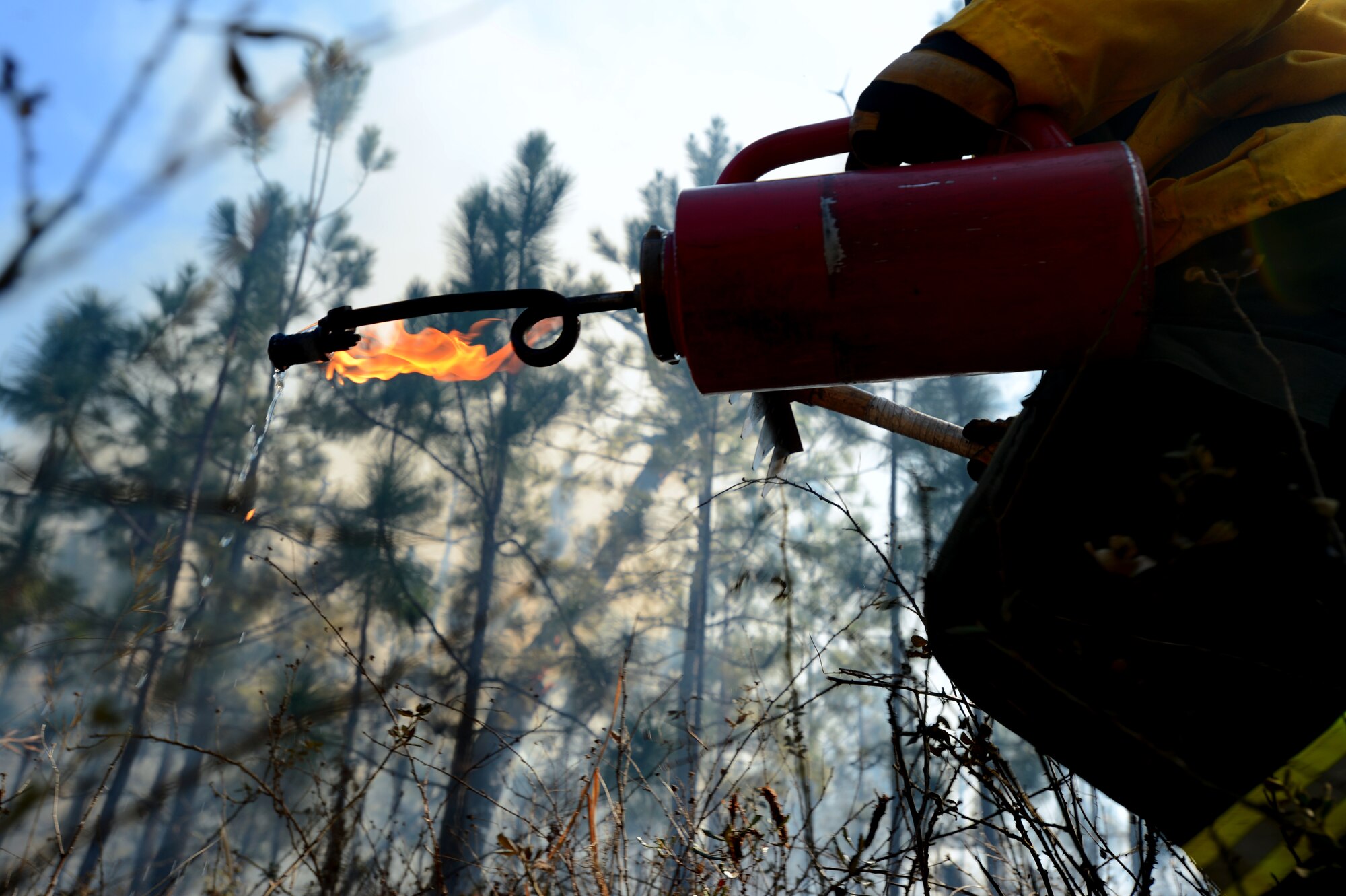 A U.S. Fish and Wildlife Service fire module detail member uses a kerosene drip torch during a prescribed burned at the Poinsett Electronic Combat Range, Sumter, S.C., Jan. 28, 2015.  Burning the dried brush throughout the range helps to prevent future uncontrolled fires that could cause severe damage. (U.S. Air Force photo by Senior Airman Jensen Stidham/Released) 