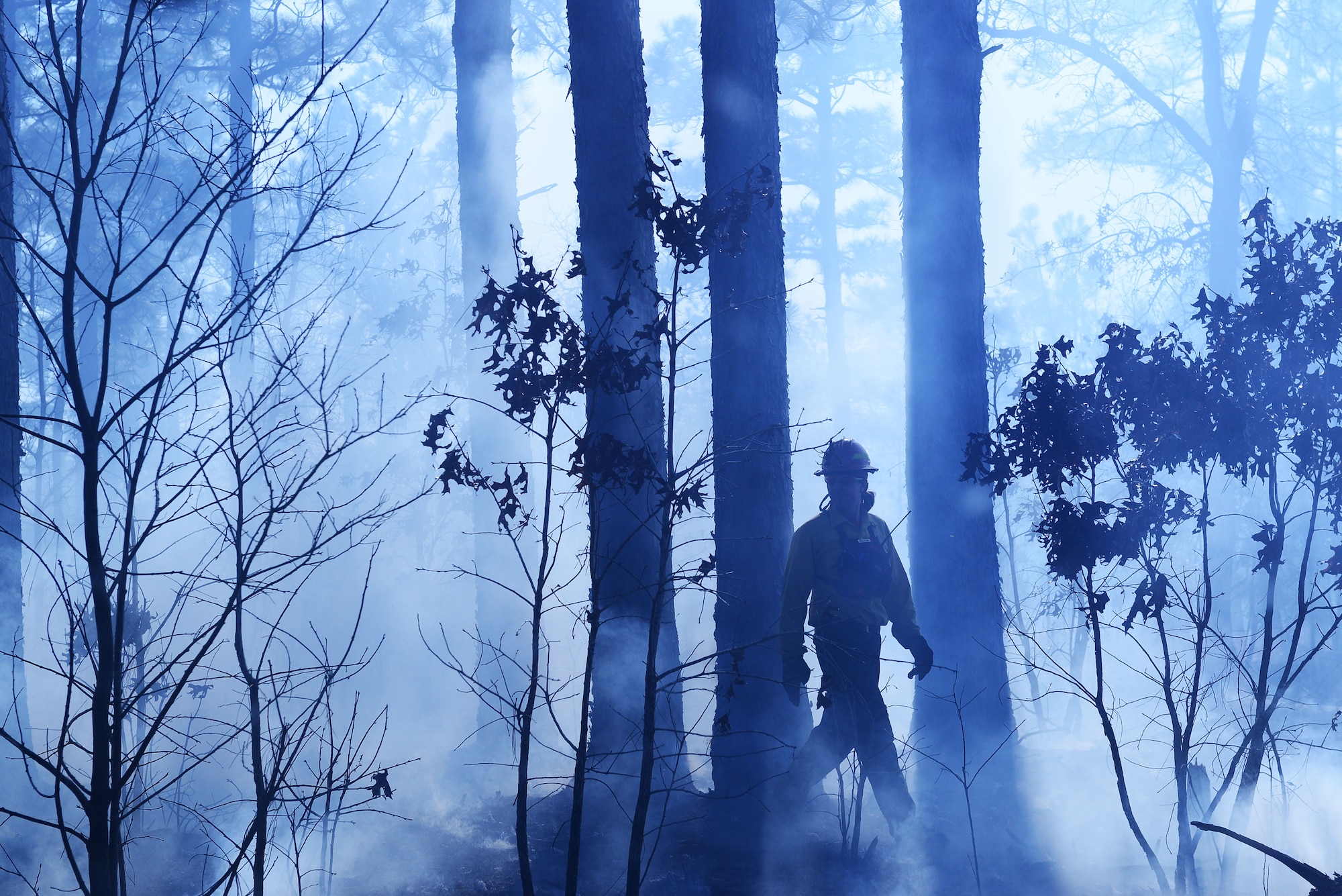 A member of the prescribe burn team walks through trees on Poinsett Electronic Combat Range, Sumter, S.C., Jan. 28, 2015. The team monitors the burn by being constantly updated on the humidity so it doesn’t drop below a certain percentage and by monitoring the wind speed and direction. (U.S. Air Force photo by Airman 1st Class Diana M. Cossaboom/Released)