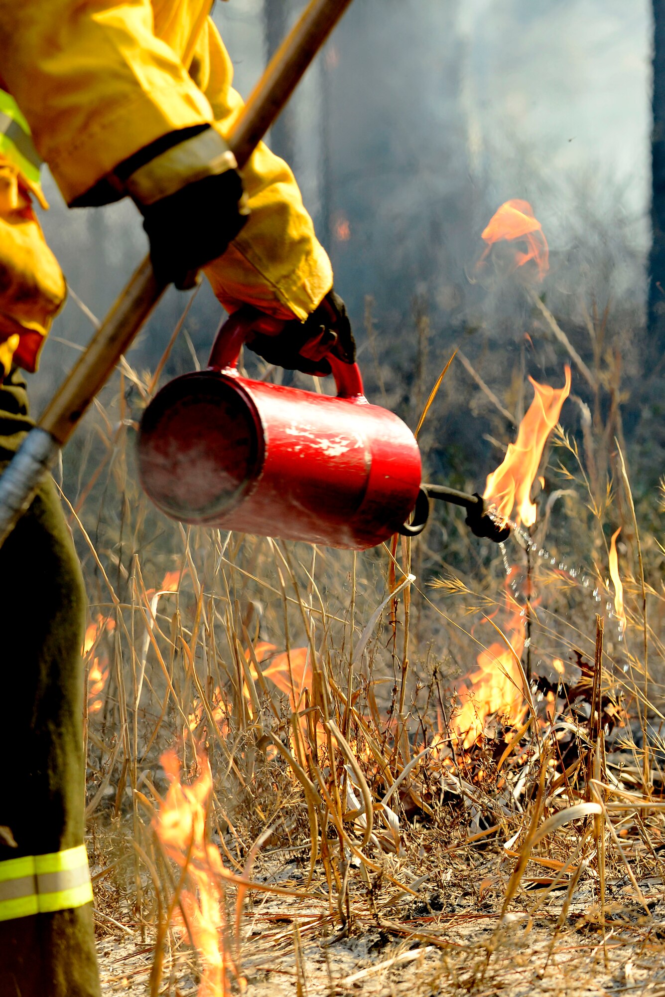 A U.S. Fish and Wildlife Service wildland fire module detail member sets grass, sticks, and leaves ablaze during a prescribed burn at Poinsett Electronic Combat Range, Sumter, S.C., Jan. 29, 2015. The Poinsett regional wildland fire team is the first regional wildland fire team created in the Air Force. (U.S. Air Force photo by Airman 1st Class Diana M. Cossaboom/Released)