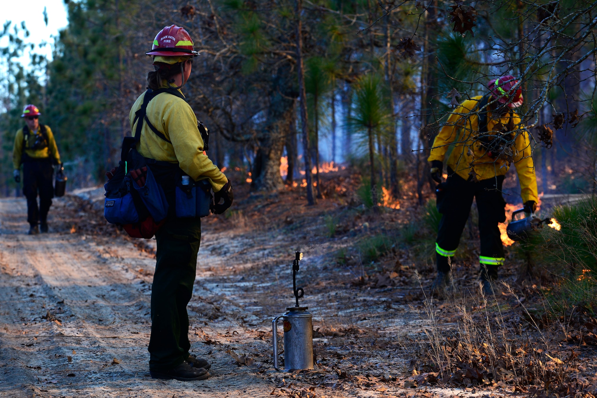 Members of the prescribe burn team light fires on the forest floor during prescribed burning at Poinsett Electronic Combat Range, Sumter, S.C., Jan. 28, 2015. The team was scheduled to burn throughout the week while the weather permitted. (U.S. Air Force photo by Airman 1st Class Diana M. Cossaboom/Released) 