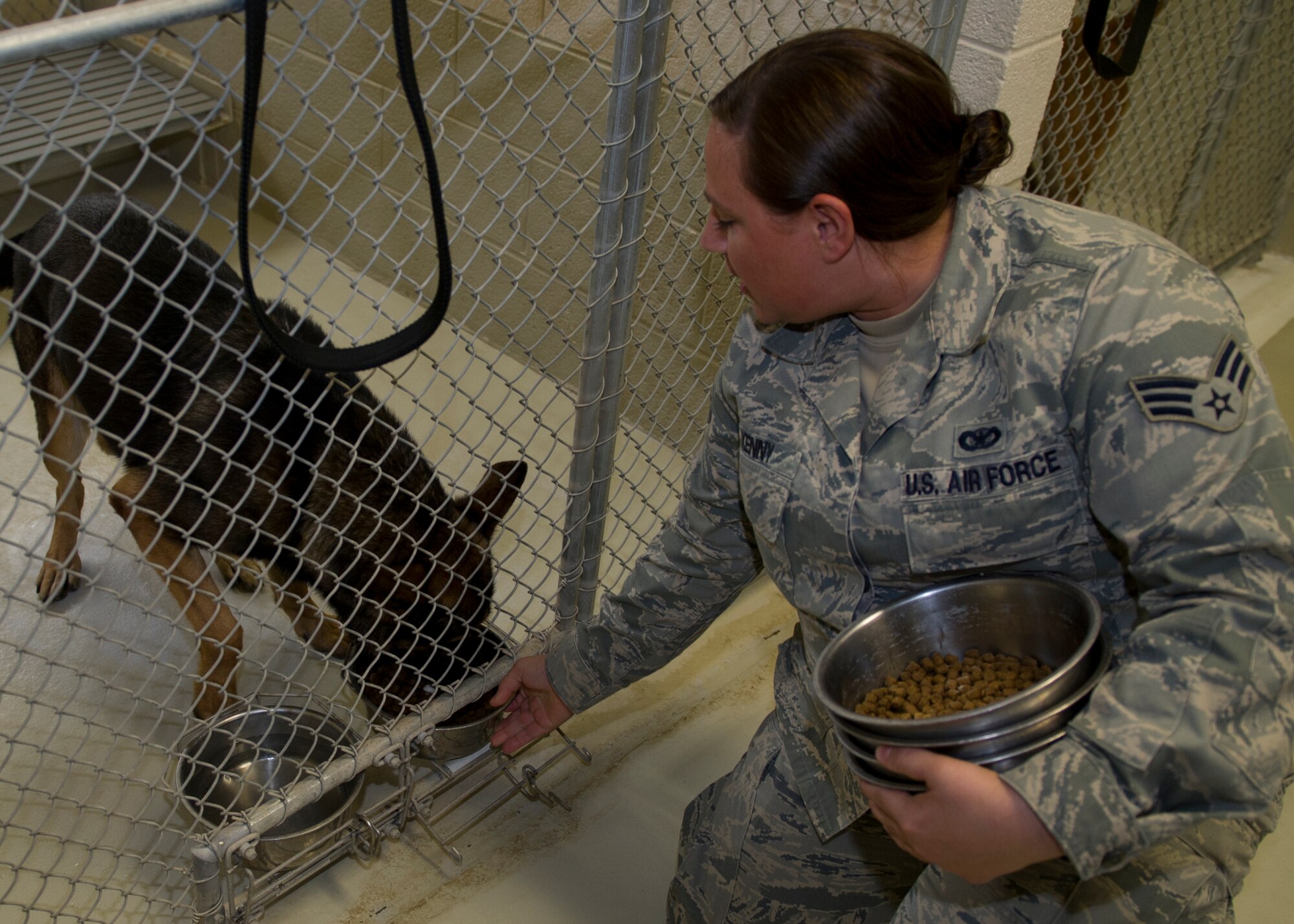Senior Airmen Rebecca Kenny, 49th Security Forces Military Working Dog handler, feeds MWD Jacob at Holloman Air Force Base, N.M., Jan. 22. MWDs live a constant life of training and work, to ensure they are always effective at detecting threats and protecting military members in deployed locations. (U.S. Air Force photo by Airman 1st Class Chase Cannon/Released)