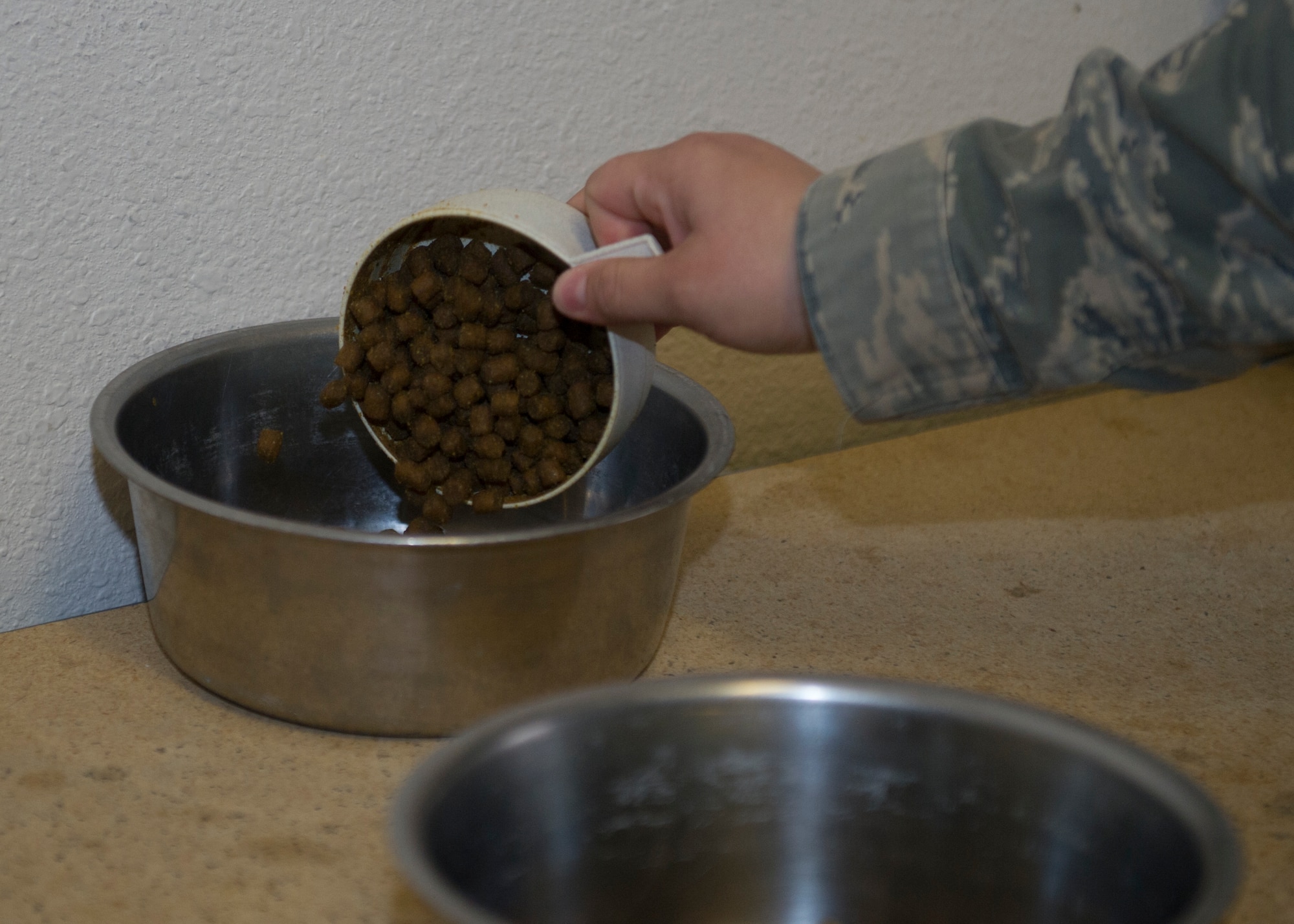 Senior Airmen Rebecca Kenny, 49th Security Forces Military Working Dog handler, prepares food for the MWDs at Holloman Air Force Base, N.M., Jan. 22. Ensuring the well-being of the MWDs is another side of being a MWD handler. They carry the responsibility of, not only the life of their K-9 but also the people that are protected through the training and practice of detecting bombs, drugs and other paraphernalia. (U.S. Air Force photo by Airman 1st Class Chase Cannon/Released)