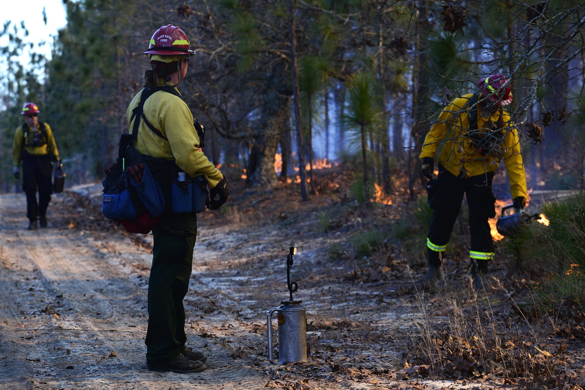 Members of the prescribe burn team light fires on the forest floor during prescribed burning Jan. 28, 2015, at Poinsett Electronic Combat Range, in Sumter, S.C. The team was scheduled to burn throughout the week while the weather permitted. (U.S. Air Force photo/Airman 1st Class Diana M. Cossaboom)