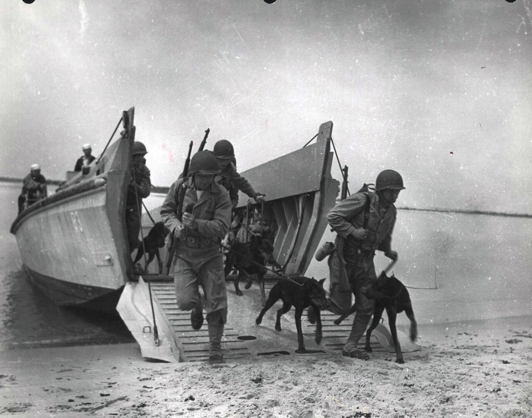 War dogs practice amphibious landings from a Higgins boat at Camp Lejeune, North Carolina. This was one phase of the War Dogs intensive training prior to their deployment in the South Pacific.
 
From the War Dogs Photograph Collection, United States Marine Corps Archives & Special Collections.
 
OFFICIAL USMC PHOTOGRAPH