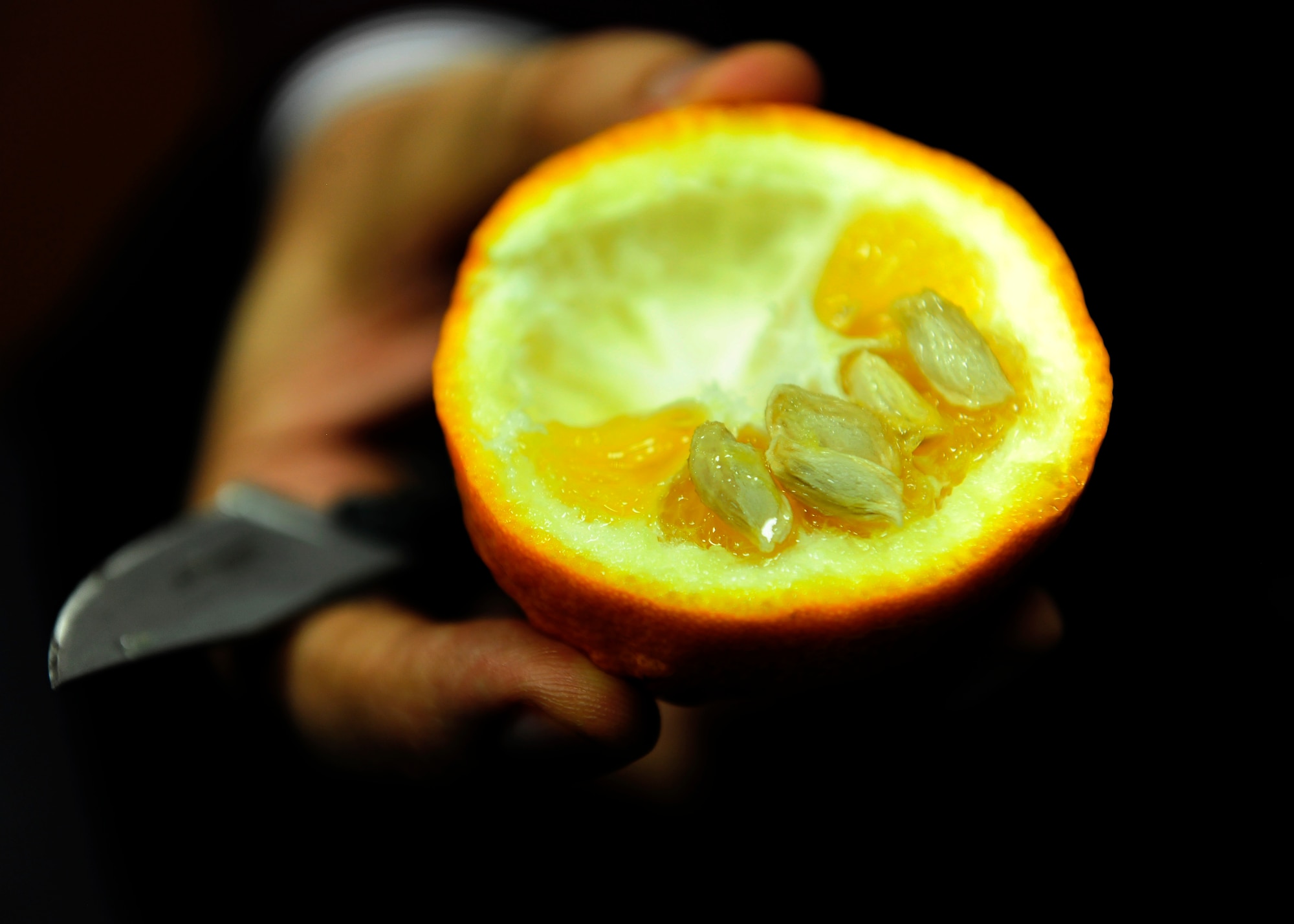 Known as the mother tree for all citrus trees, the Turunc tree produces fruit that is bitter and juicy. Seeds from the Turunc tree are used to grow other types of citrus trees including orange, tangerine and lemon. (U.S. Air Force photo by Senior Airman Ardrey/Released)
