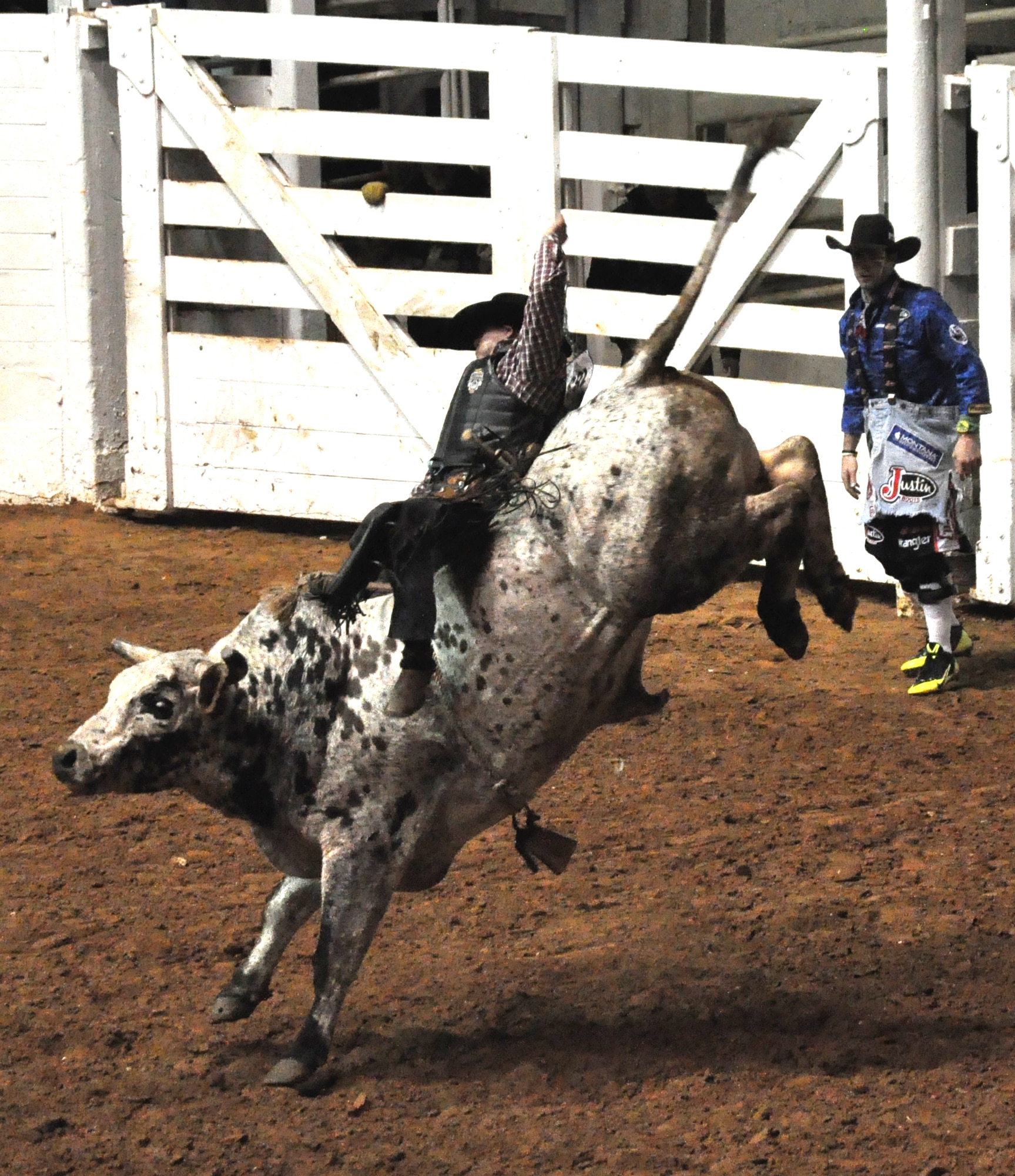 It’s the rodeo clown’s duty to protect the cowboys at all cost when thrown from their bull Feb. 2 at the Fort Worth Stock Show and Rodeo. The event is a 23-day show featuring seven specialty rodeos and 1,200 professional cowboy and cowgirl athletes competing for championship titles. (U.S. Air Force photo/Master Sgt. Julie Briden-Garcia)