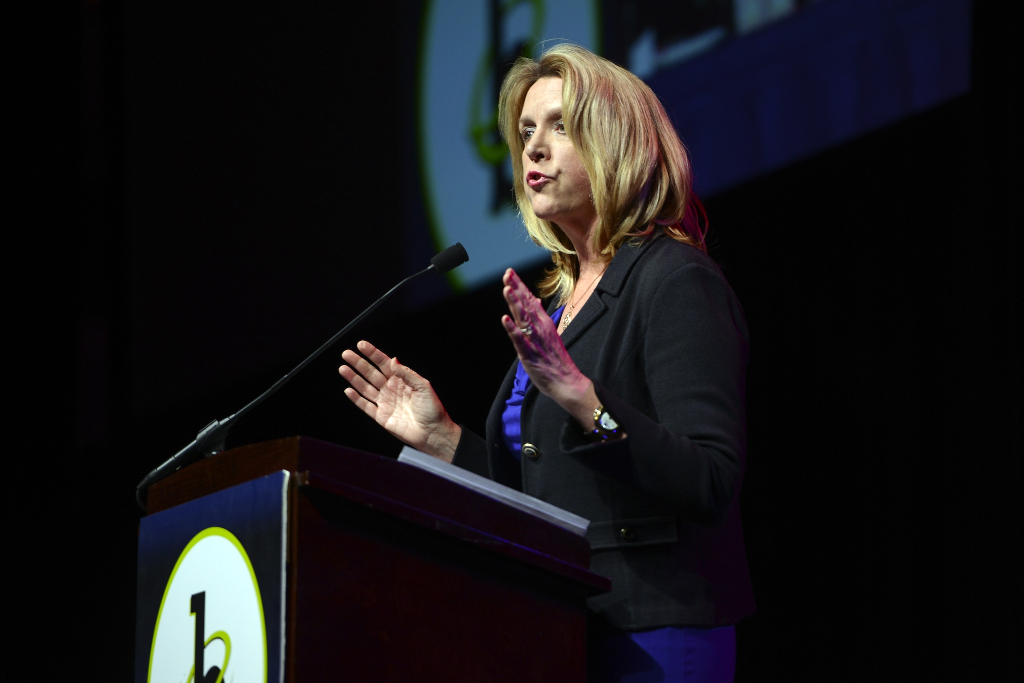 Secretary of the Air Force Deborah Lee James speaks at the Stars and Stripes recognition dinner Feb. 6, 2015 in Washington, D.C. The annual event recognizes top-performing African-American military and civilian leaders in the armed forces. (U.S. Army photo/C. Todd Lopez)  