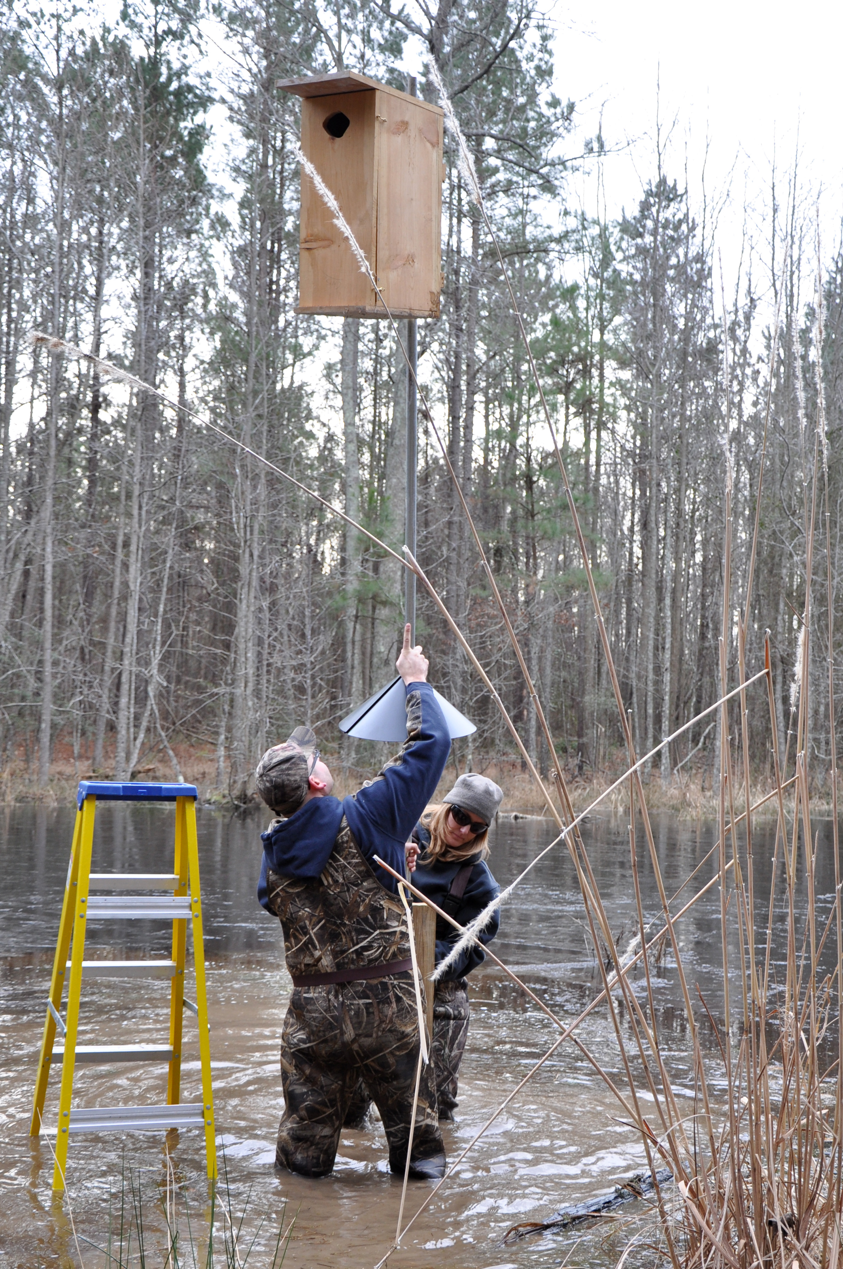 Hunters help Fort Eustis ducks gt Joint Base Langley Eustis gt Article