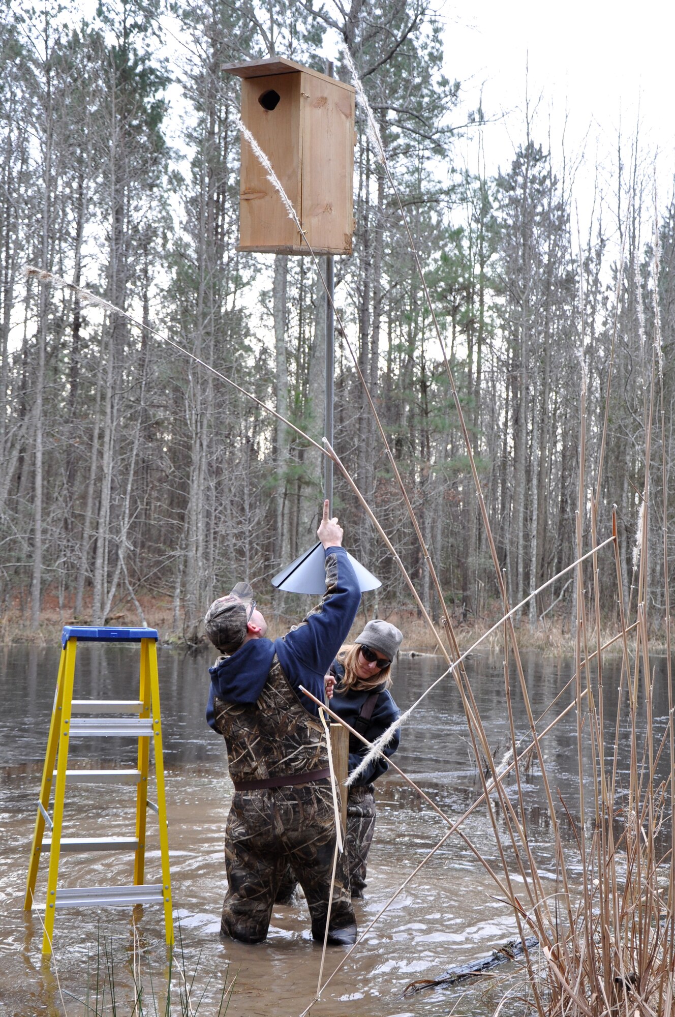 U.S. Coast Guard Chief Petty Officer Kevin Asher, U.S. Coast Guard Training Center Yorktown food service specialist, and his wife, retired U.S. Navy Petty Officer 2nd Class Sharon Asher, install a nesting box at Fort Eustis, Va., Feb. 7, 2015. Six volunteers installed eight wood boxes to give back to the environment. (U.S. Air Force photo by Master Sgt. April Wickes/Released)