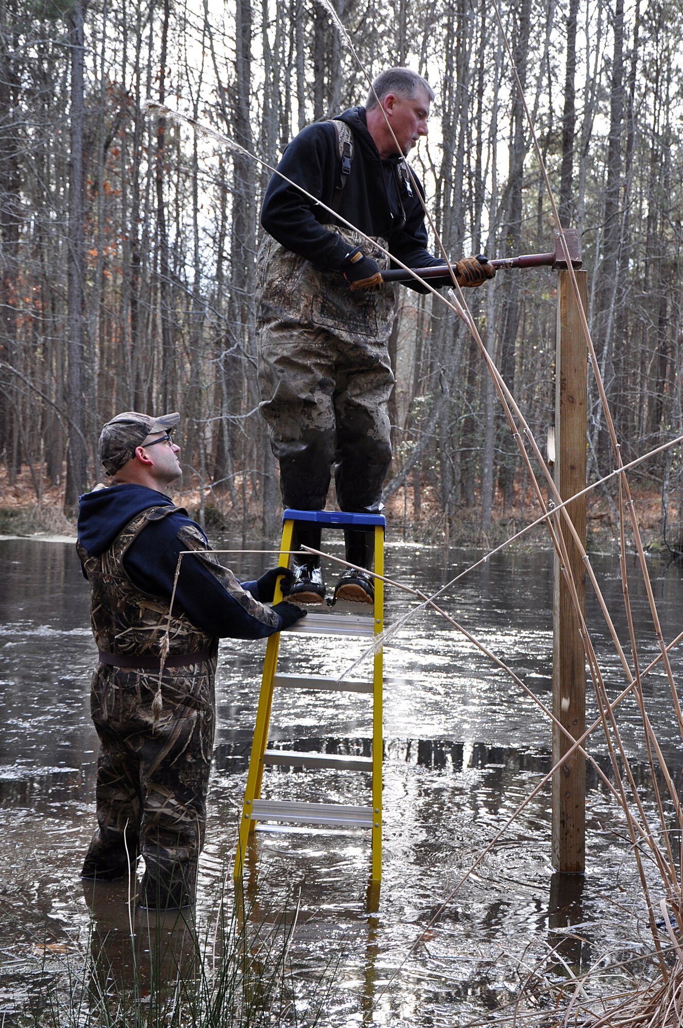U.S. Coast Guard Chief Petty Officer Kevin Asher, U.S. Coast Guard Training Center Yorktown food service specialist, assists James Dolan, 733d Civil Engineer Division wildlife biologist, as he hammers in a post to support a wood duck nesting box at Fort Eustis, Va., Feb. 7, 2015.  Wood ducks are cavity nesters and will not nest on the ground and nesting boxes supplement natural cavities and offer a safer place to nest. (U.S. Air Force photo by Master Sgt. April Wickes/Released)