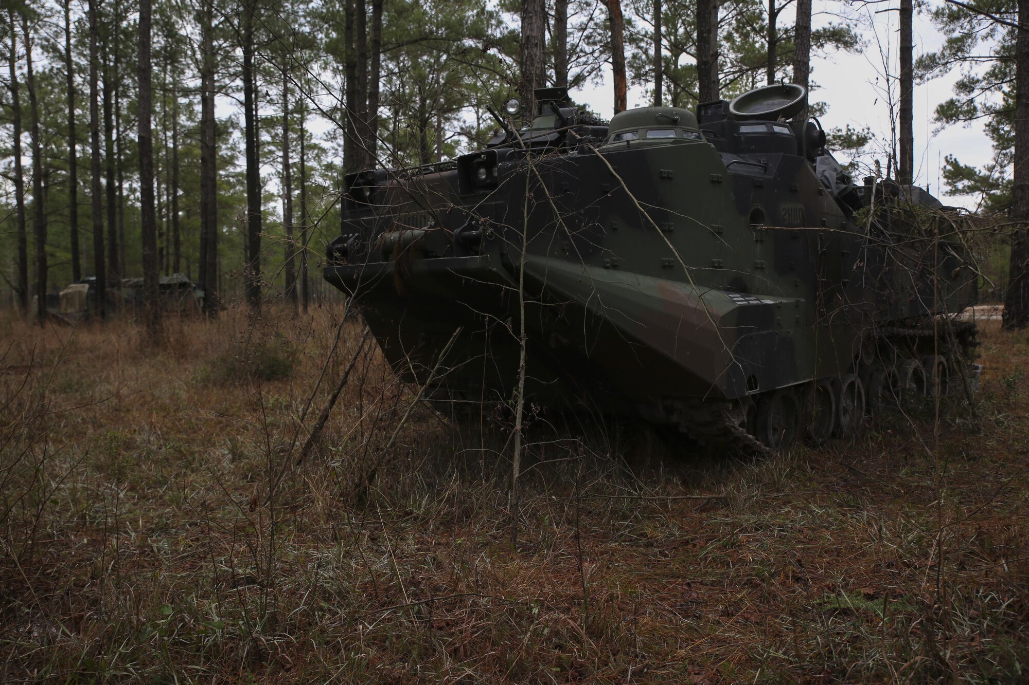 Assault Amphibious Vehicles with 2nd Assault Amphibian Battalion sit in defensive positions around the battalion command operation center during a week-long field exercise aboard Camp Lejeune, N.C., Jan. 24, 2015. Assault Amphibious Vehicles have been the amphibious troop transport of the Marine Corps since they were introduced in 1972 and serve a key role in ship-to-shore and ground operations.