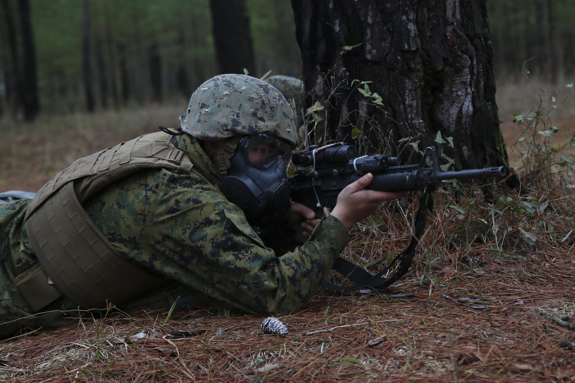 A Marine with 2nd Assault Amphibious Battalion scans for enemy troops after a simulated attack during a week-long field exercise aboard Camp Lejeune, N.C., Jan. 24, 2015. Maintaining amphibious units is vital to the naval expeditionary nature of the Marine Corps, and maintaining the readiness and standards of every Marine ensures high performance and fast deployment capabilities.