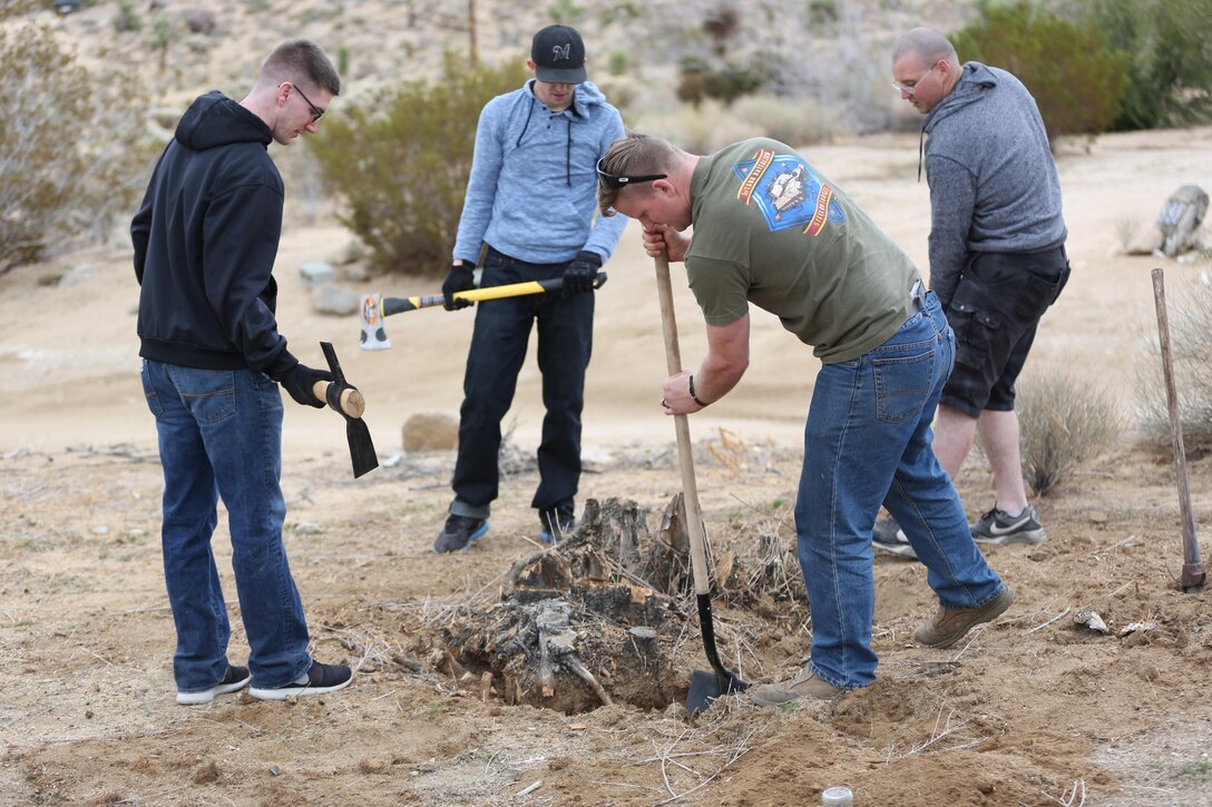 1st Tank Battalion Marines and sailors help remove a tree stump from Richard Krekemeyer’s, WWII veteran, native of Twentynine Palms, Calif., front yard during Reach Out Morongo Basin, Jan. 26, 2015. Nearly 70 Marines worked on a host of projects from Yucca Valley, to Twentynine Palms, Calif. (Official Marine Corps photo by Lance Cpl. Medina Ayala-Lo/Released)