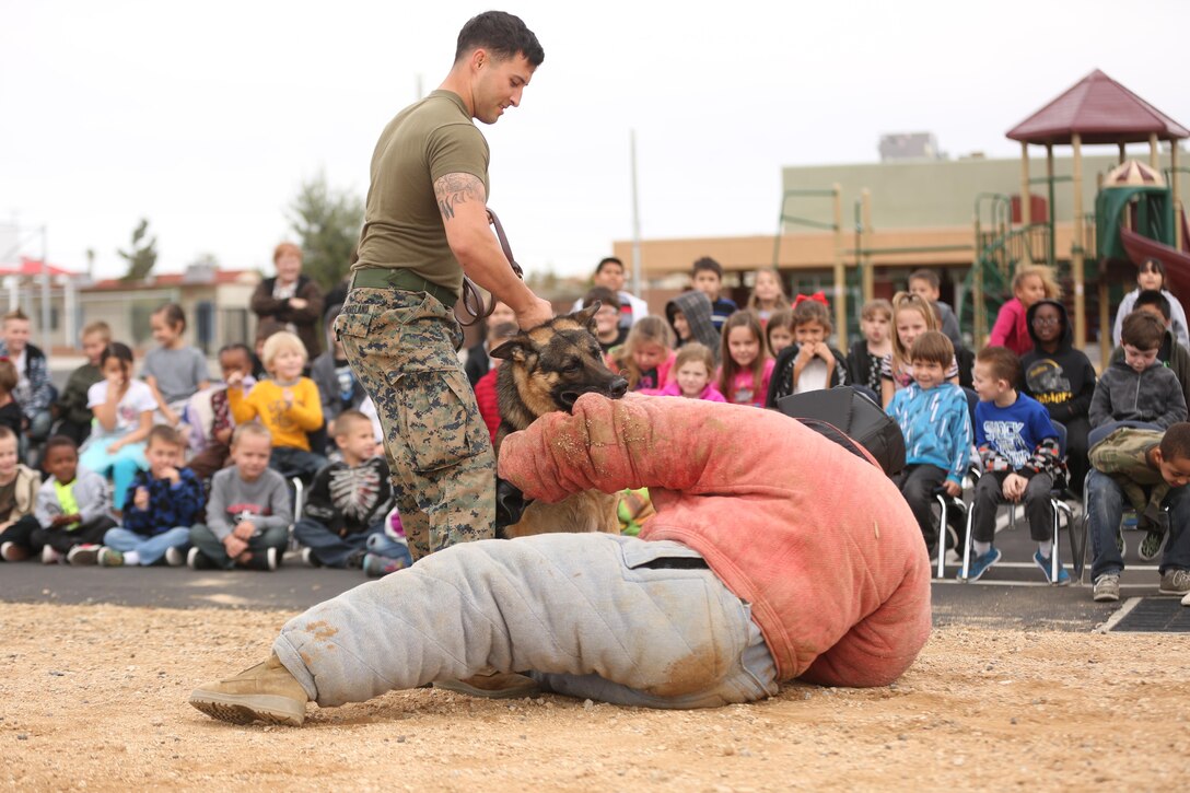 Sgt. Darren Westmoreland, military working dog handler, K-9 unit, Provost Marshal’s Office, pulls Colli, MWD, PMO, off Staff Sgt. Charlie Hardesty, kennel master, K-9 unit, PMO, as he serves as a simulated perpetrator, during a demonstration at Joshua Tree Elementary School Jan. 29, 2015. Colli and Baby were the two MWDs used for the demonstration to show the kids the different types of tasks the dogs are capable of. (Official Marine Corps Photo by Lance Cpl. Julio McGraw/Released)