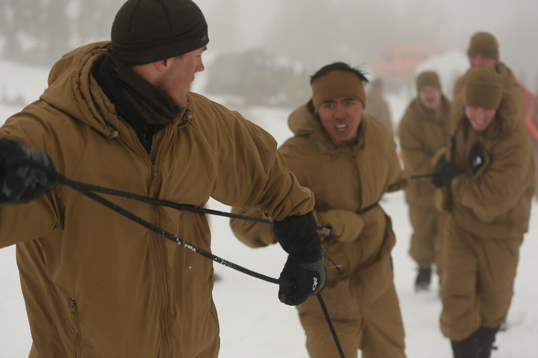 Sgt. Sloan Seiler, Winter Mountain Leaders Course 1-15, student, Marine Corps Mountain Warfare Training Center, and 1st Lt. Mancelino Figueroa, WMLC 1-15, class commander, 1st Battalion, 3rd Marine Regiment, lead a line of Marines pulling a block of ice back into Levitt Lake at the MCMWTC, Bridgeport Calif., Jan. 30, 2015. The blocks of ice that were cut out of the lake were returned after the Marines concluded training. (Official Marine Corps photo by Cpl. Charles Santamaria/Released)