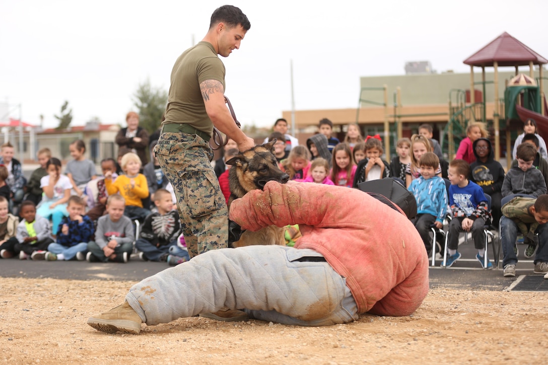 Sgt. Darren Westmoreland, military working dog handler, K-9 unit, Provost Marshal’s Office, pulls Colli, MWD, PMO, off Staff Sgt. Charlie Hardesty, kennel master, K-9 unit, PMO, as he serves as a simulated perpetrator, during a demonstration at Joshua Tree Elementary School Jan. 29, 2015. Colli and Baby were the two MWDs used for the demonstration to show the kids the different types of tasks the dogs are capable of. (Official Marine Corps Photo by Lance Cpl. Julio McGraw/Released)