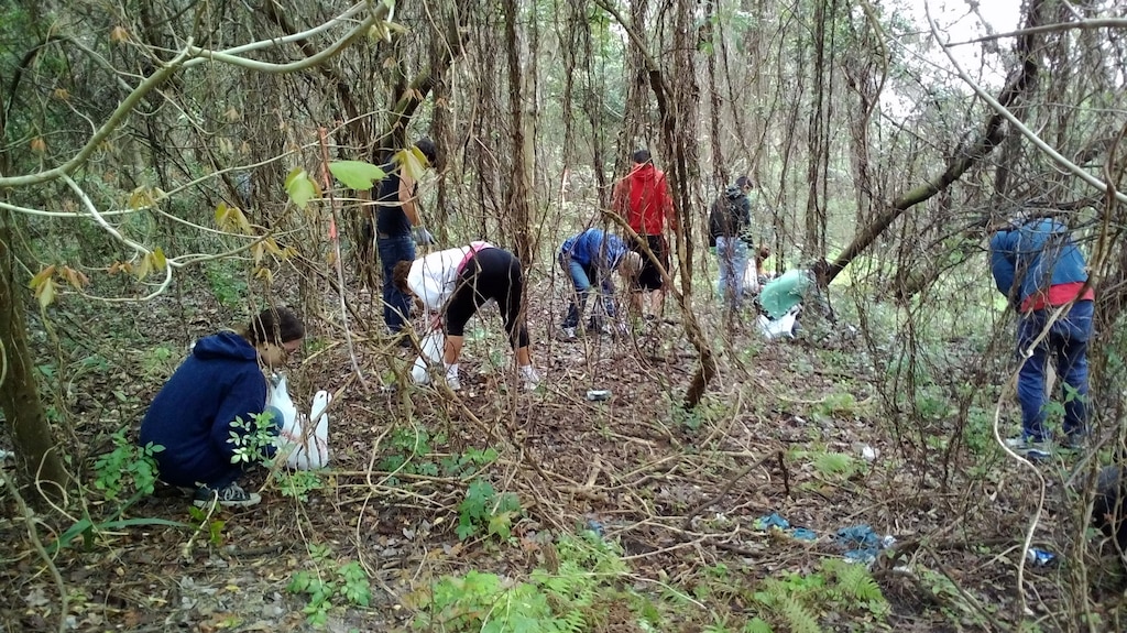 Volunteers, including students from Sandalwood High School, harvested air potatoes that had fallen to the ground during the winter in 2014.
