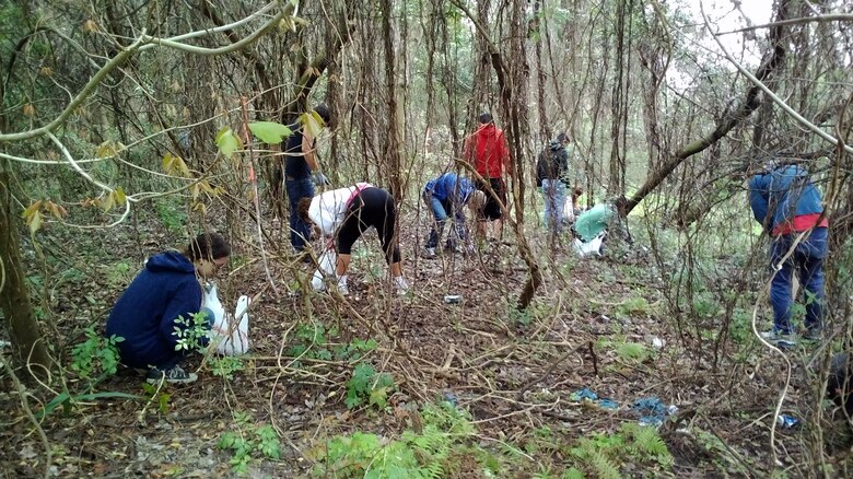 Volunteers, including students from Sandalwood High School, harvested air potatoes that had fallen to the ground during the winter in 2014.