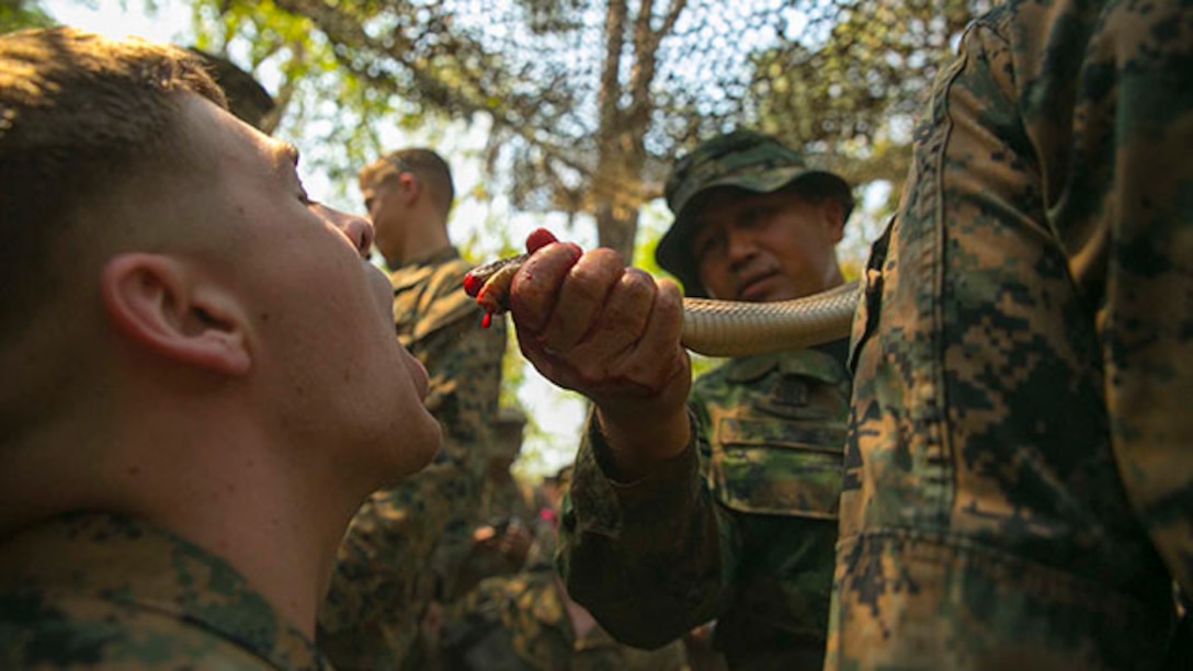 Lance Cpl. Dakota Woodward, from Brandon, Florida, drinks cobra blood Feb. 8 during exercise Cobra Gold 2015. The Royal Thai Marines showed U.S. Marines various jungle survival methods. Drinking snake blood is used as a last resort in case there is nothing else to drink. Woodward is a distribution management specialist with Combat Logistics Regiment 35, 3rd Marine Logistics Group, III Marine Expeditionary Force.