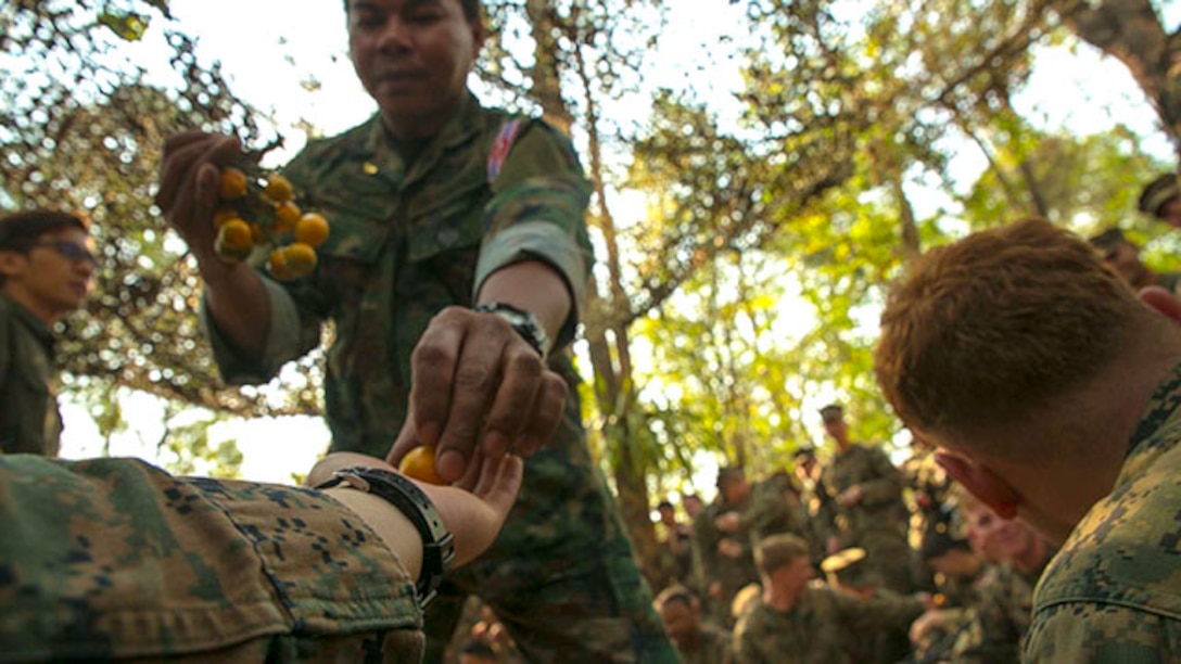 Chaiwat Lodsin hands fruit to Cpl. Isaac Ibarra, from Naples, Fla., Feb. 8 at Ban Chan Khrem, Thailand, during exercise Cobra Gold 2015. The Royal Thai Marines gave U.S. Marines many fruits to taste to show them the different types of fruits found in the jungle. Ibarra is a combat correspondent with III Marine Expeditionary Headquarters Group, III MEF.