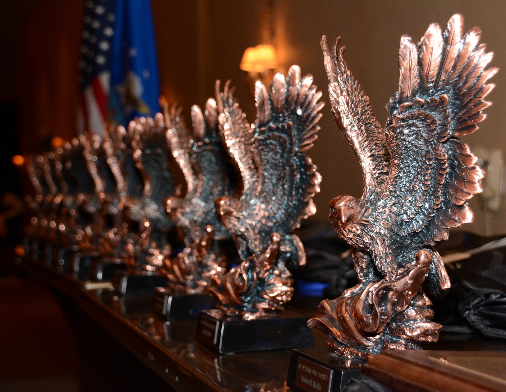 During their 2014 Annual Awards Banquet Feb. 7, the 301st Fighter Wing recognized 11 outstanding members in 11 categories for their superior performance. A number of the award recipients will go on to compete at the NAF level. (U.S. Air Force photo/SSgt. Samantha Mathison)