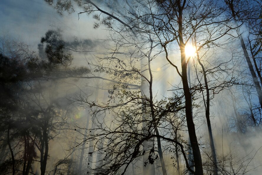Smoke rises into the sky during a controlled burn on Barksdale Air Force Base, La., Feb. 9, 2015. Forestry technicians conducted a controlled burn on the East Reservation to reduce underbrush which will limit potential damage in case of a wildfire (U.S. Air Force photo/Senior Airman Benjamin Raughton)